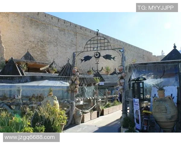 突尼斯足球球星崛起之路展现北非绿茵精神与国家荣耀